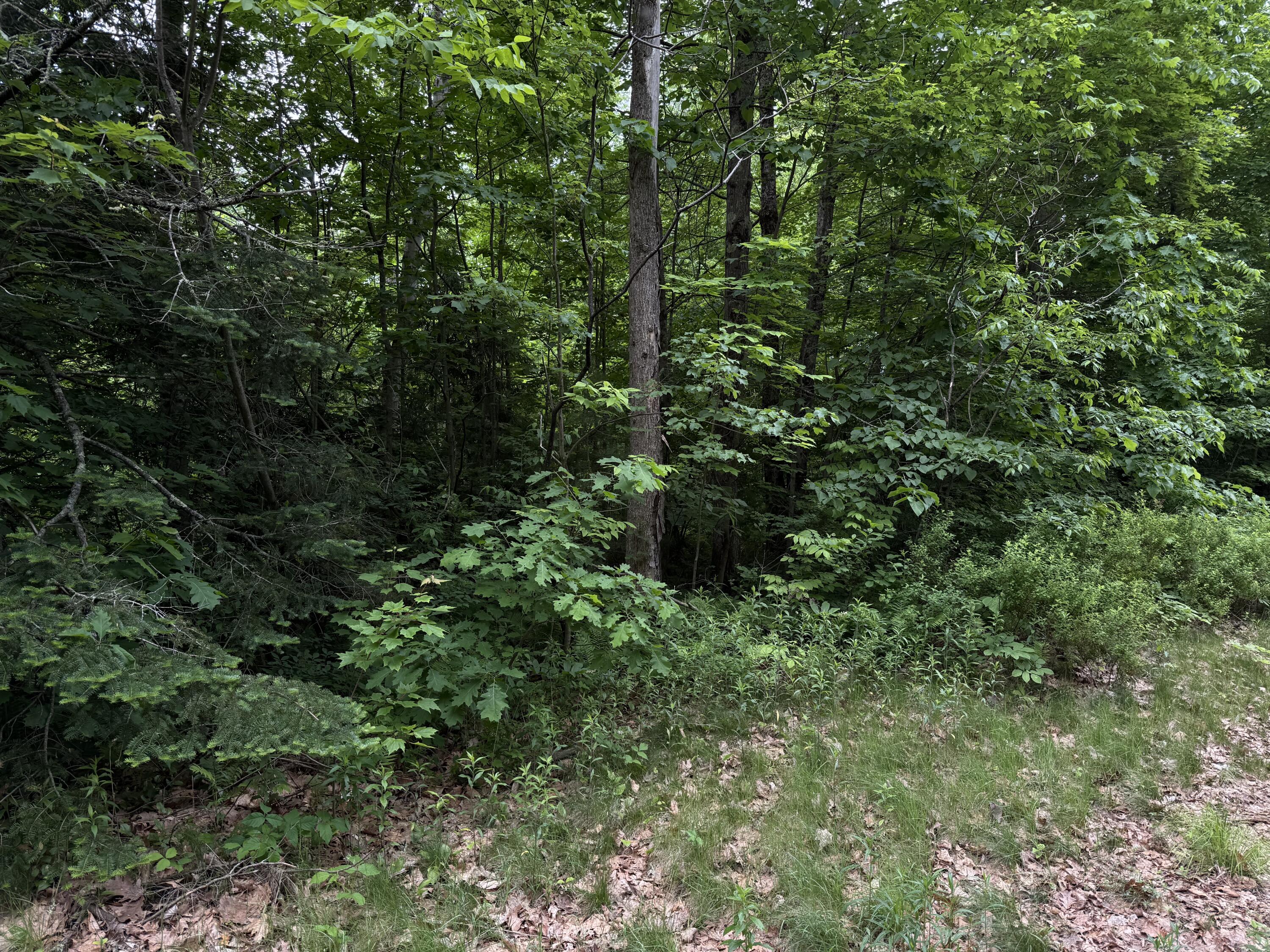 Lot 09 Riverside Drive Auburn ME 04210