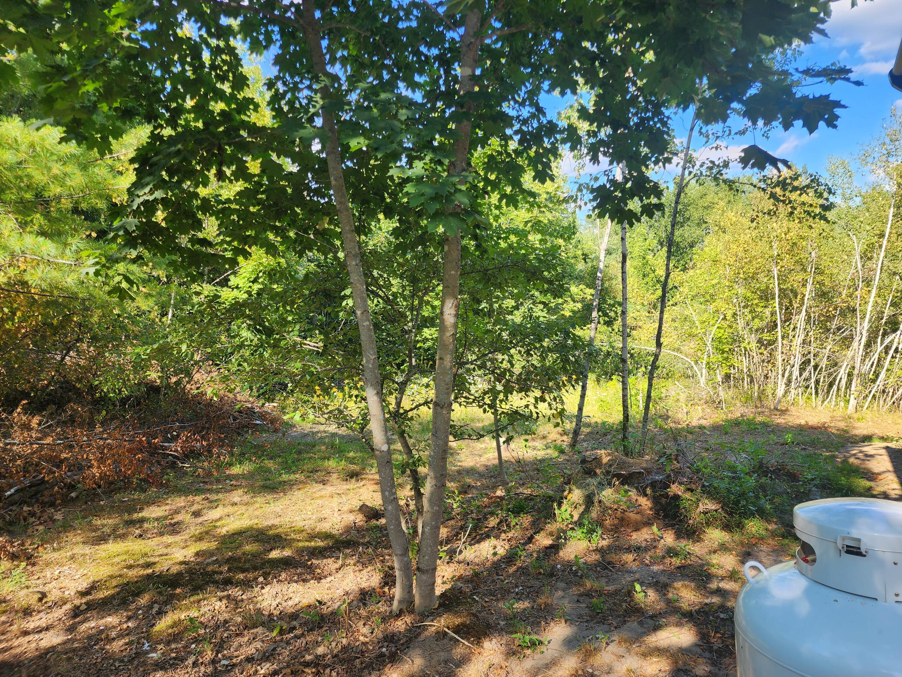 315 Golf Course Road Newport ME 04953