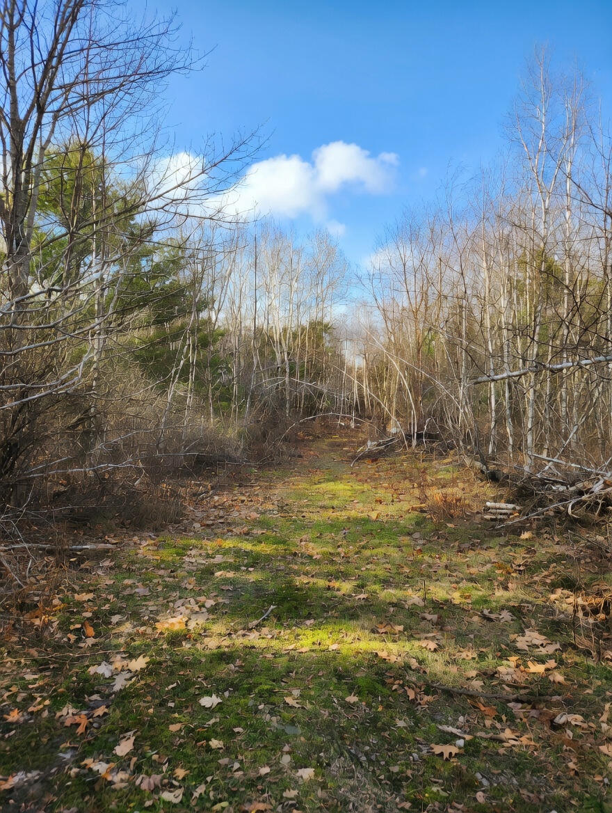 315 Golf Course Road Newport ME 04953