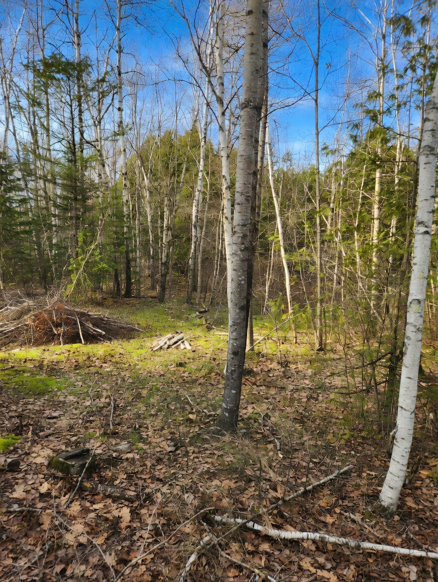 315 Golf Course Road Newport ME 04953