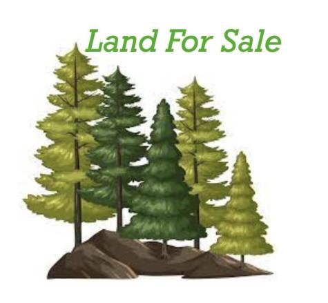 6.79 A End Mcallister Road Buckfield ME 04220