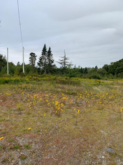 1429 Cutler Road Cutler ME 04626