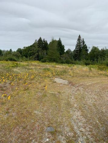 1429 Cutler Road Cutler ME 04626
