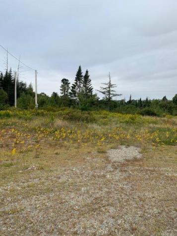 1429 Cutler Road Cutler ME 04626