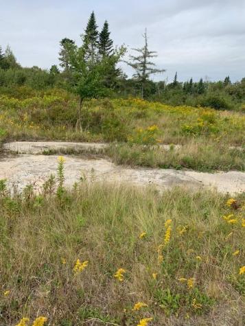 1429 Cutler Road Cutler ME 04626