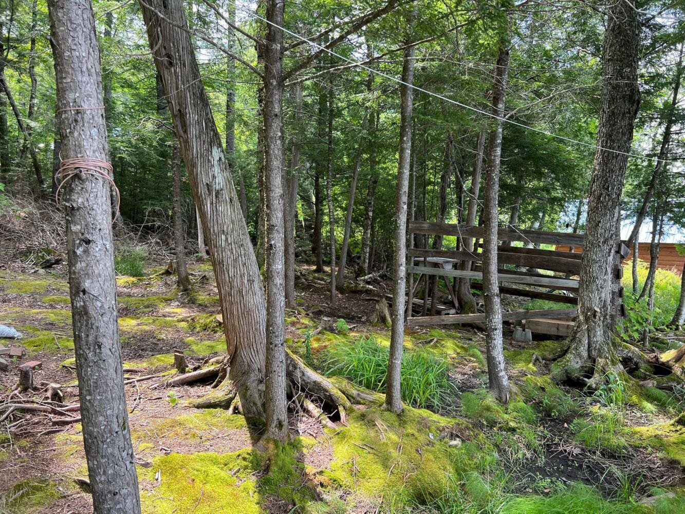 Mpi085 L65 Blanchard Twp, ME