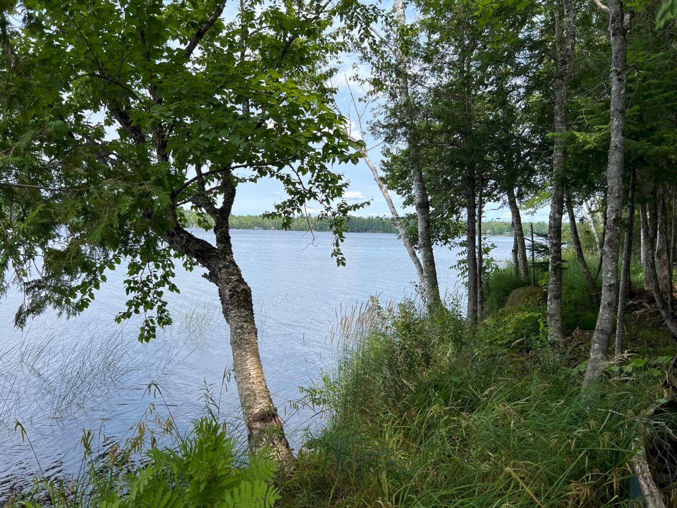 Mpi085 L65 Blanchard Twp, ME