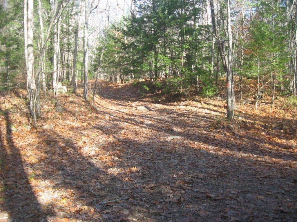 Abbott Mountain Road Shapleigh, ME