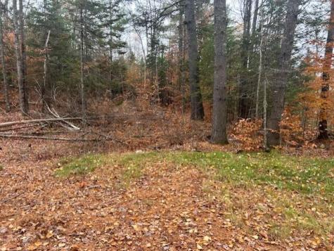 54-1 Glass Hill Road Guilford ME 04443