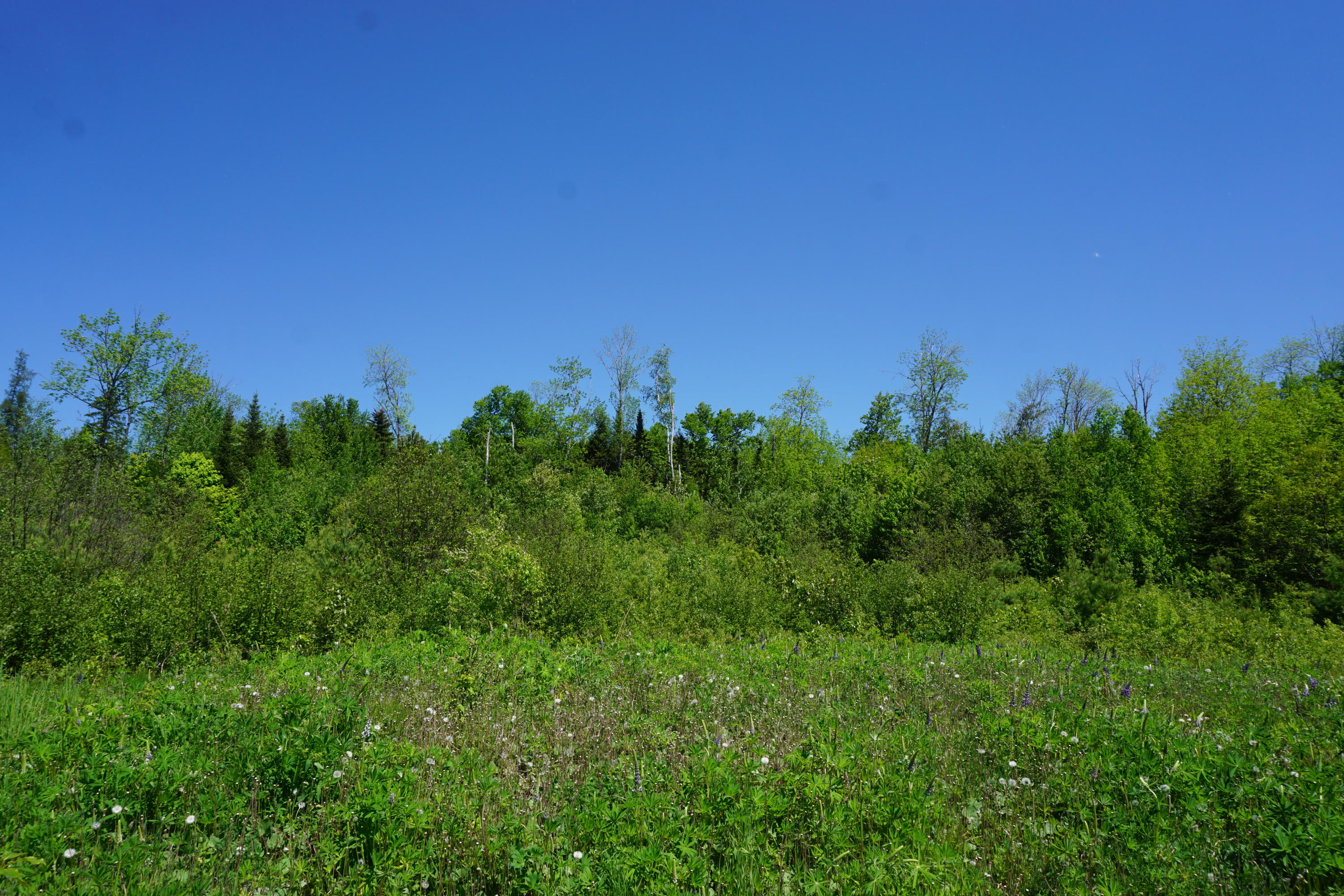 15 Foss Street Greenville ME 04441