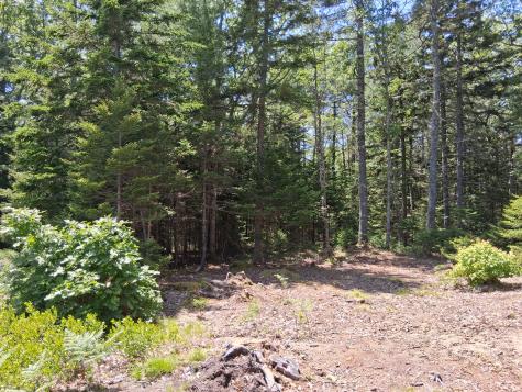 50 Bunchberry Lane Bristol ME 04554