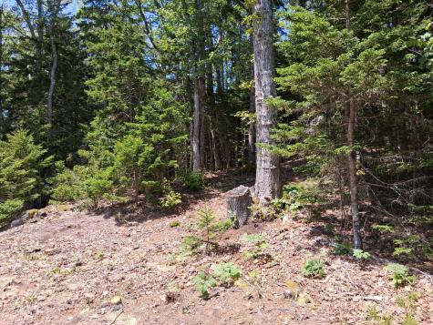 50 Bunchberry Lane Bristol ME 04554