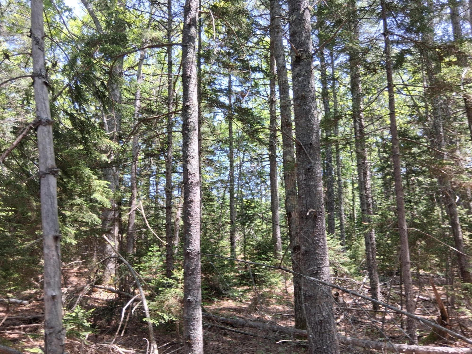 50 Bunchberry Lane Bristol ME 04554