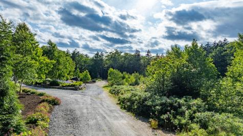 50 Bunchberry Lane Bristol ME 04554