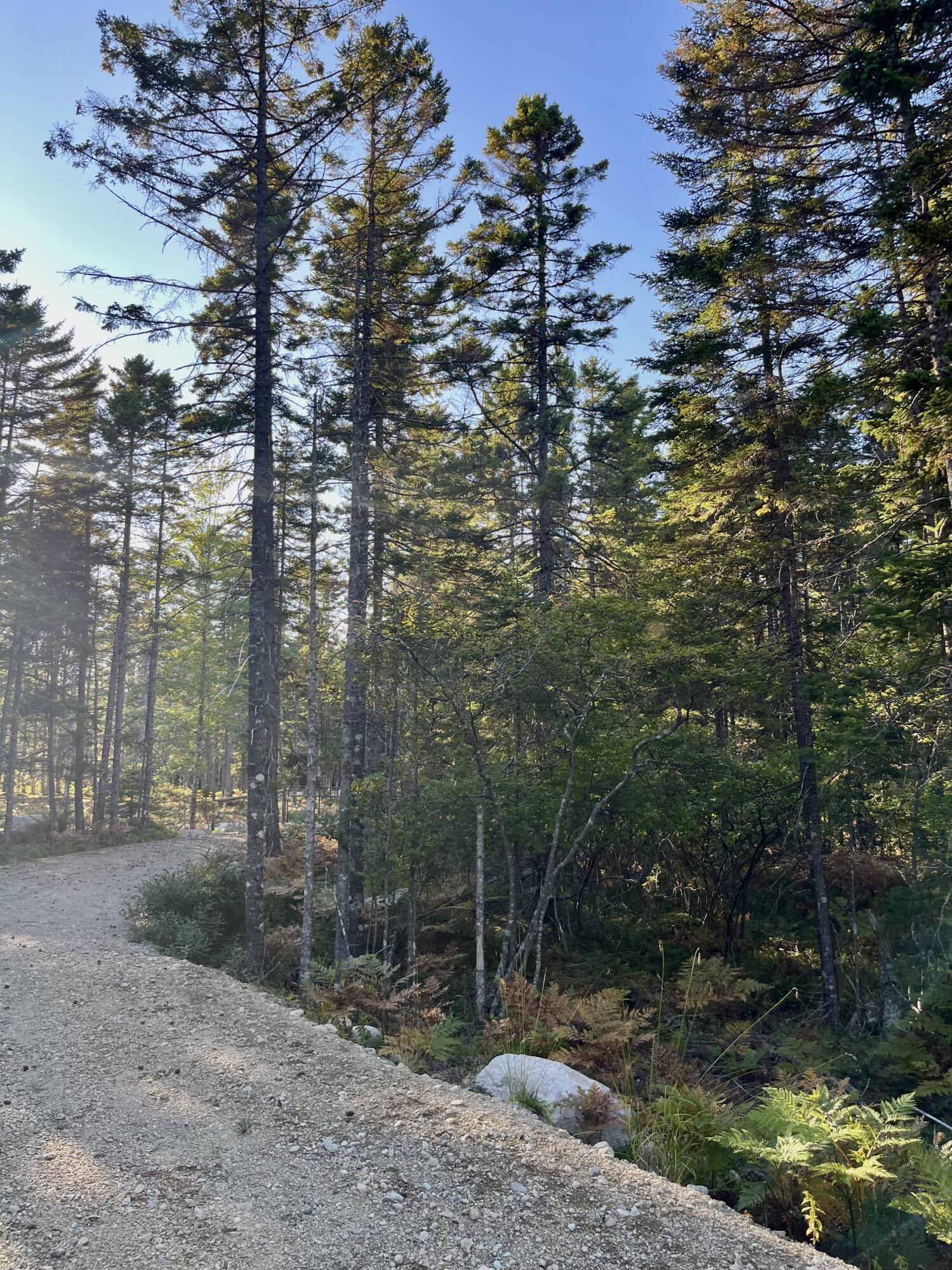 10 Granite Lane Steuben ME 04680