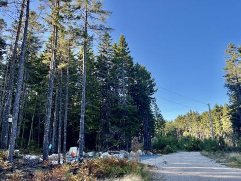 10 Granite Lane Steuben ME 04680