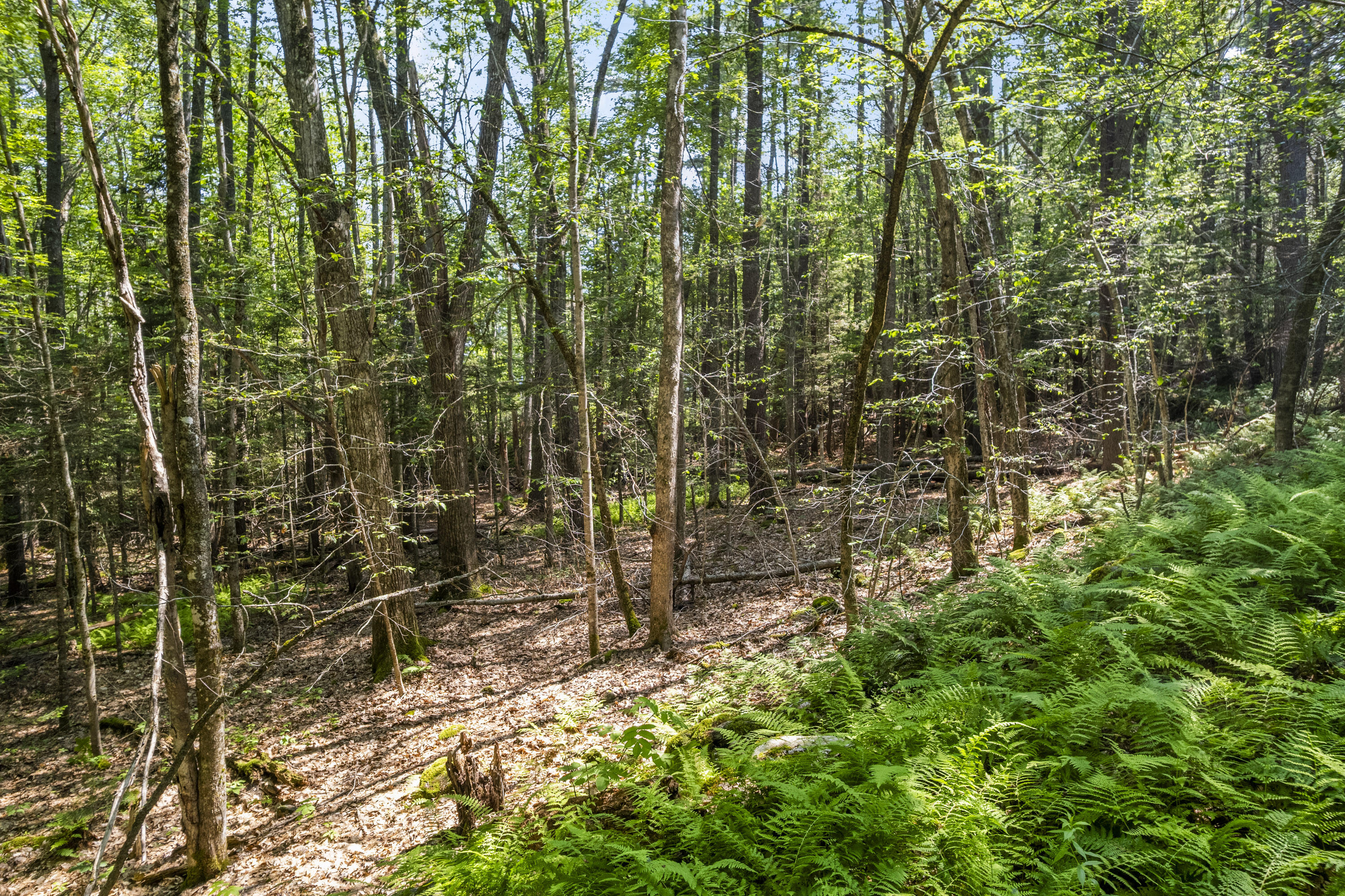 69.8 Pine Hill Road Westport Island ME 04578