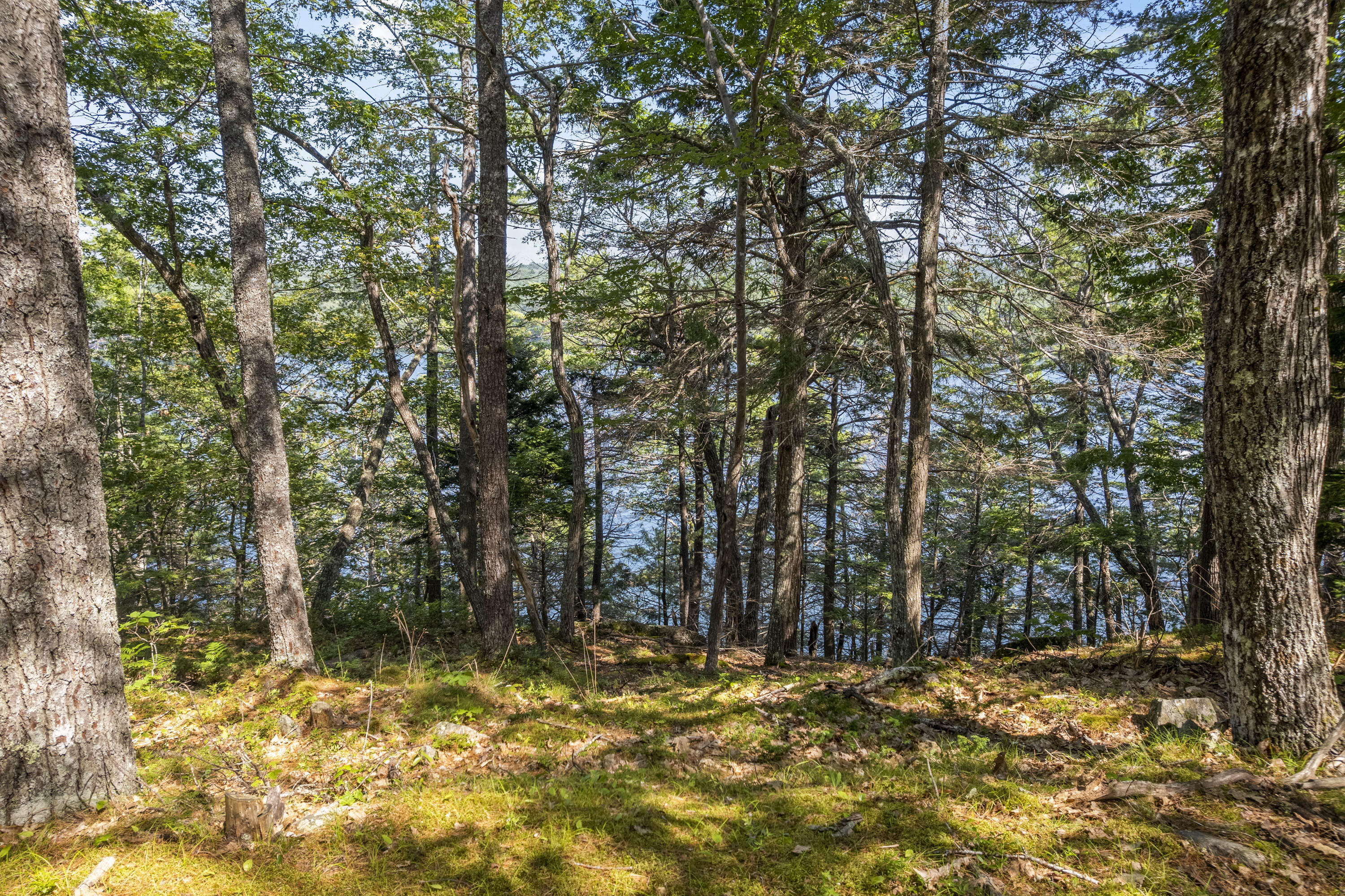 69.8 Pine Hill Road Westport Island ME 04578