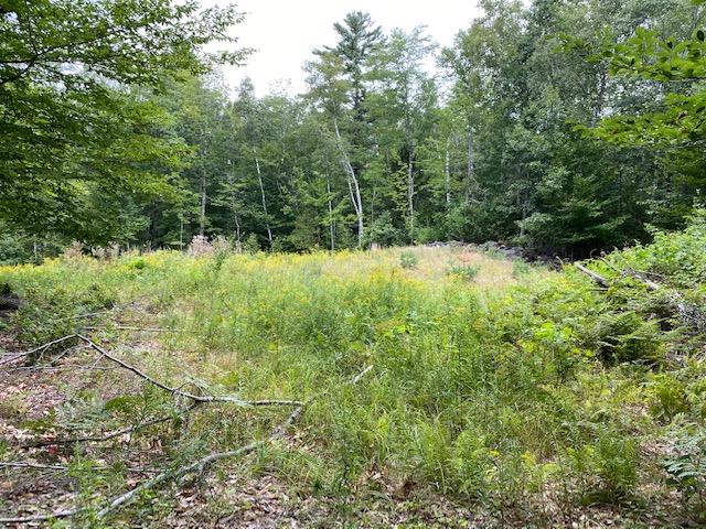 35 E Side Trail Oakland ME 04963