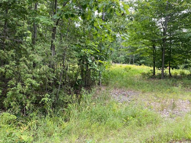35 E Side Trail Oakland ME 04963