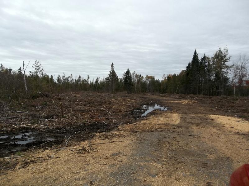 0 Houlton Road Waite ME 04492