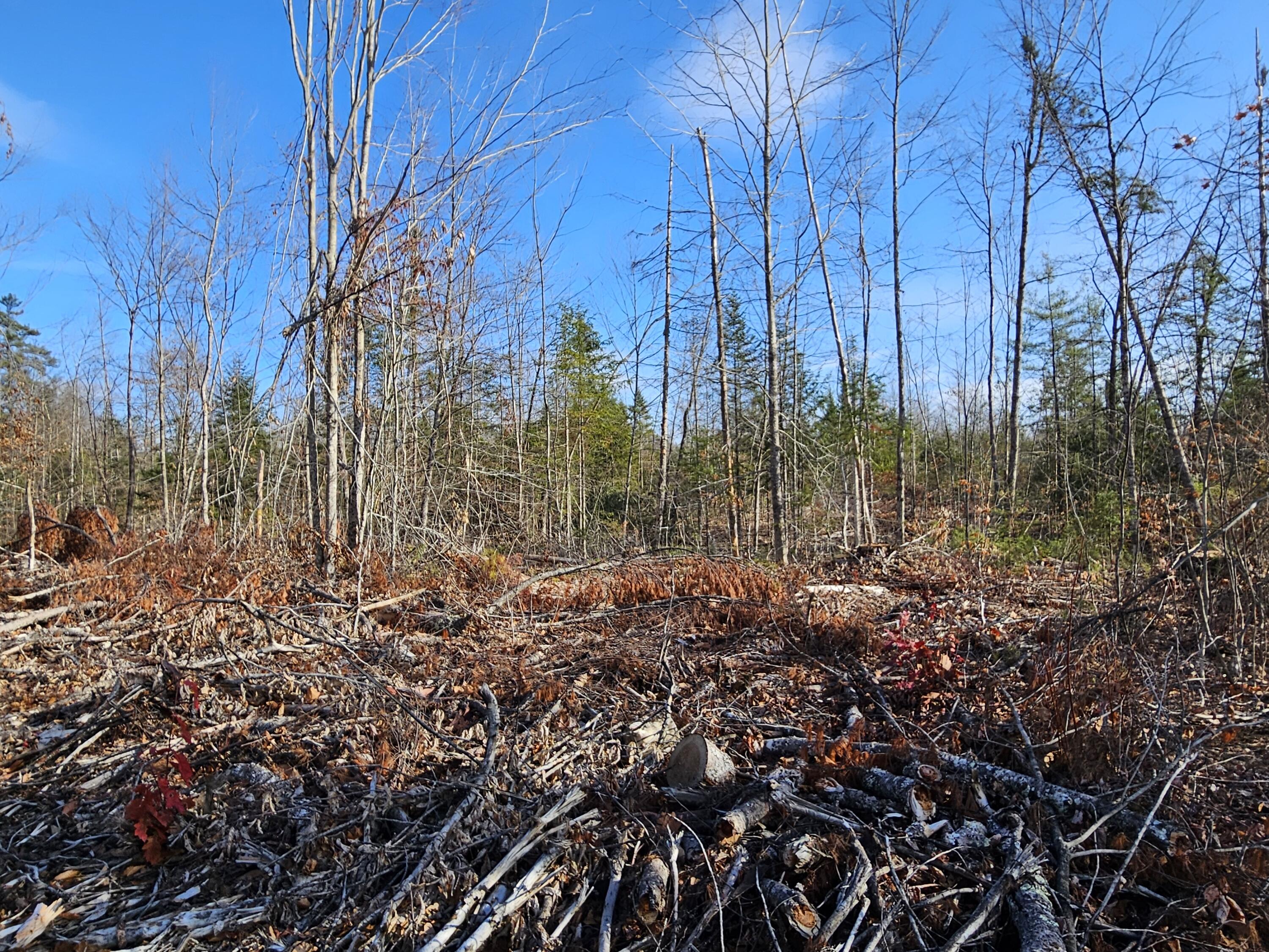 M-3 L-33-5 Cape Cod Hill Road New Sharon ME 04955