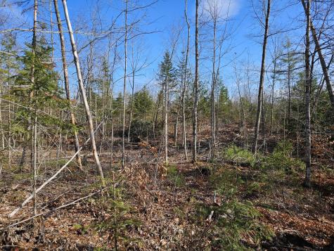 M-3 L-33-5 Cape Cod Hill Road New Sharon ME 04955
