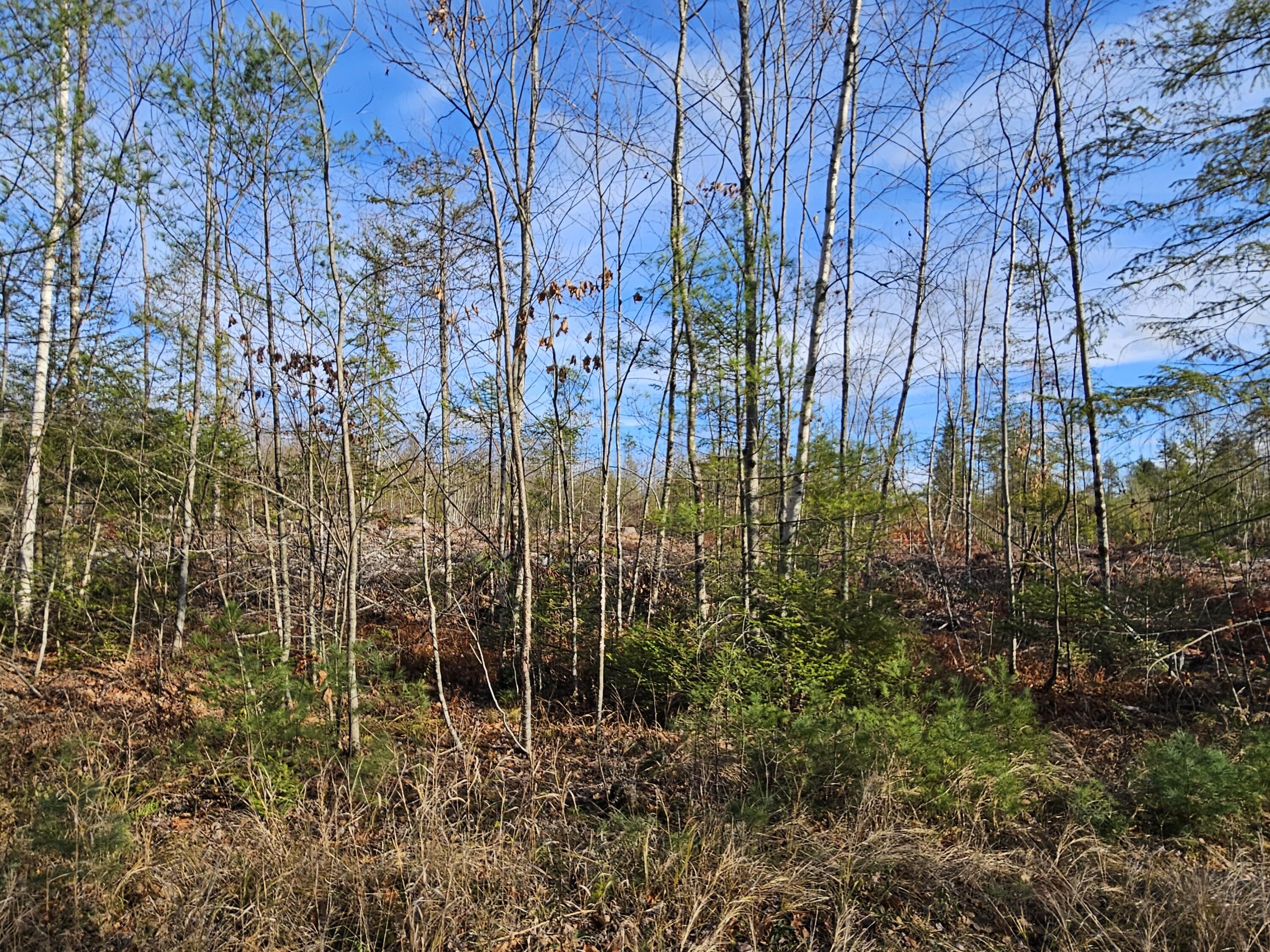 M-3 L-33-5 Cape Cod Hill Road New Sharon ME 04955