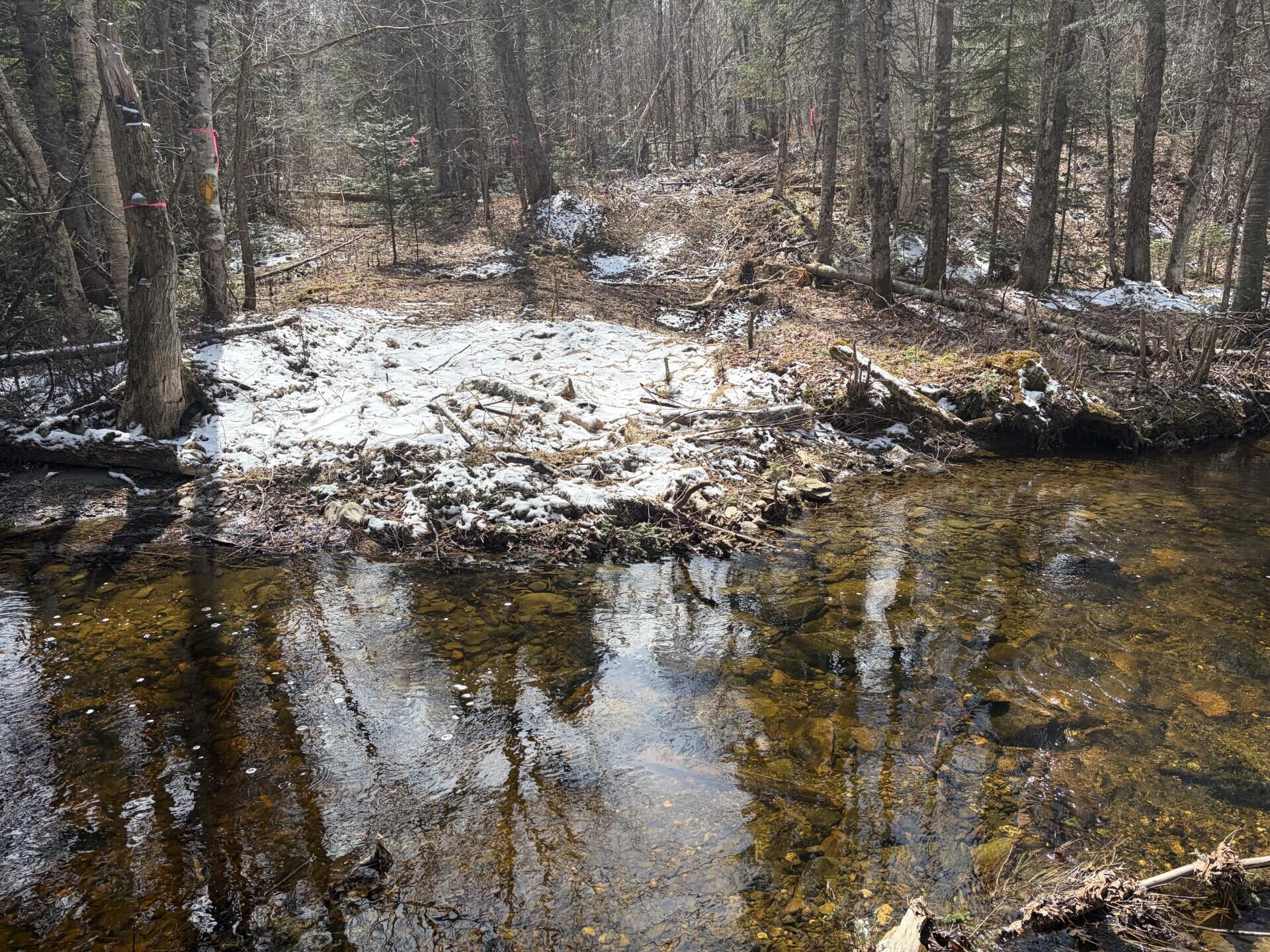339 Long Pond Road Jackman ME 04945