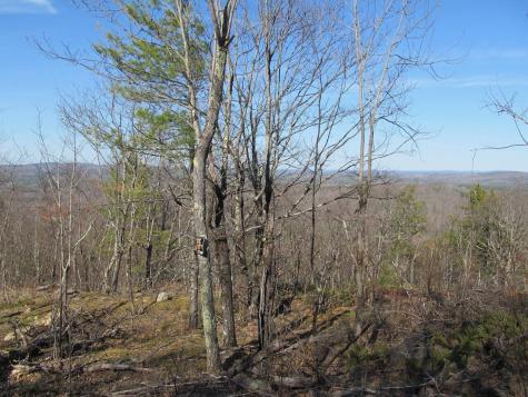 L6 Ranch Road Buckfield ME 04220
