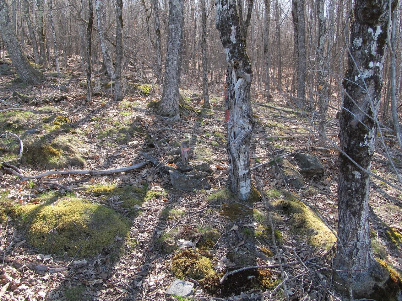 L6 Ranch Road Buckfield ME 04220