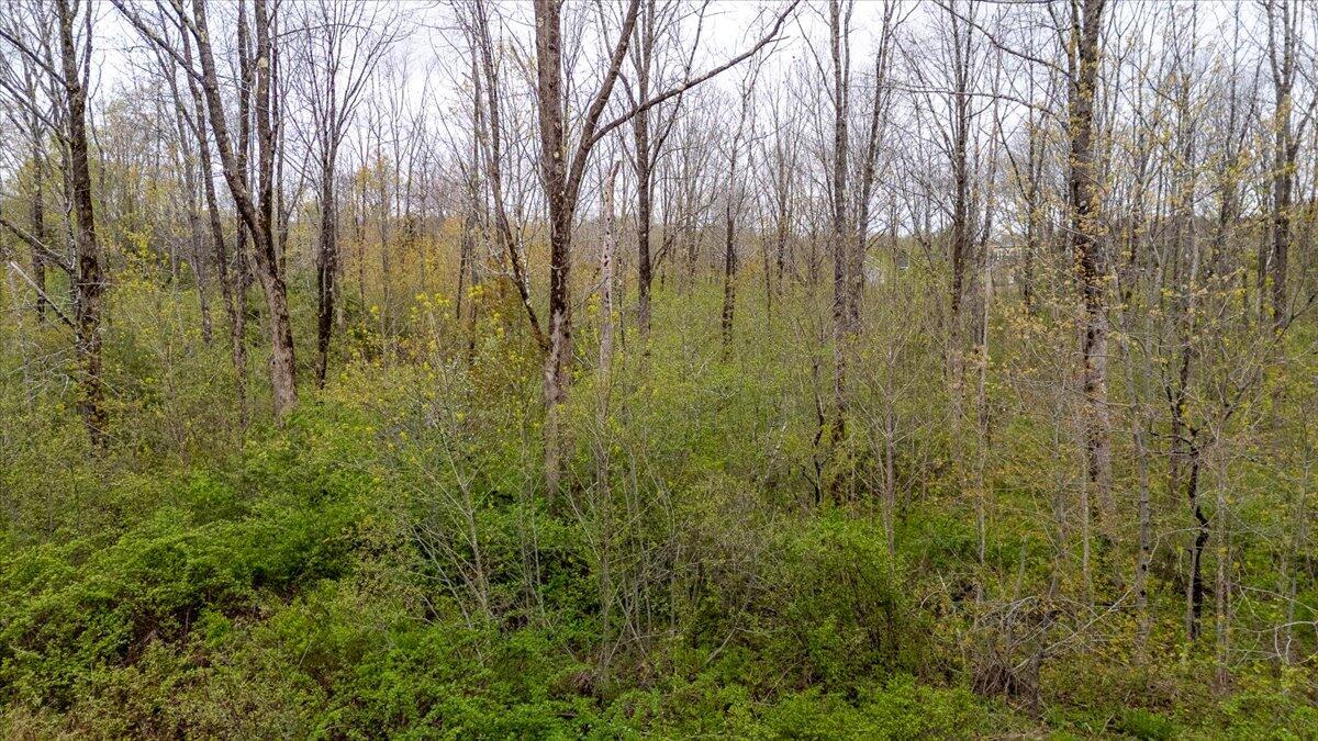 Lot 16 Ashland Drive Thomaston ME 04861