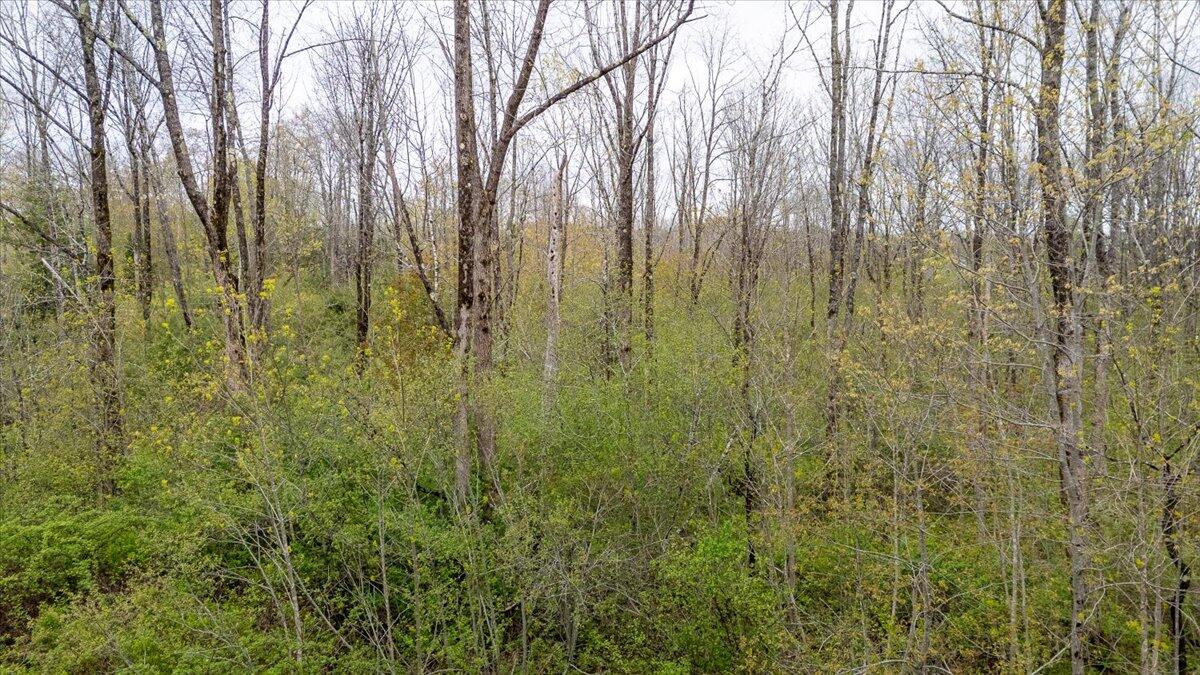 Lot 16 Ashland Drive Thomaston ME 04861