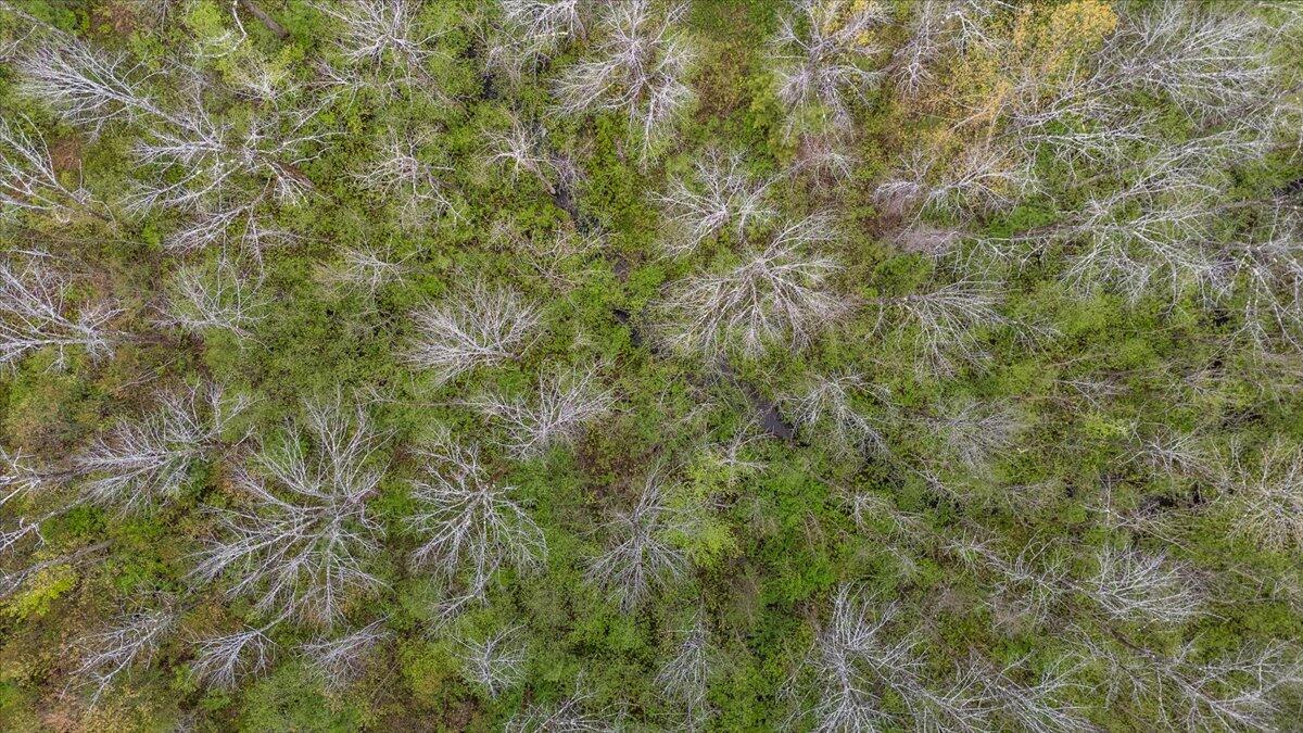 Lot 16 Ashland Drive Thomaston ME 04861