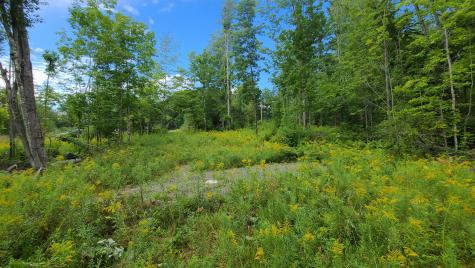 16 Fire Road 10 Saint Albans ME 04971