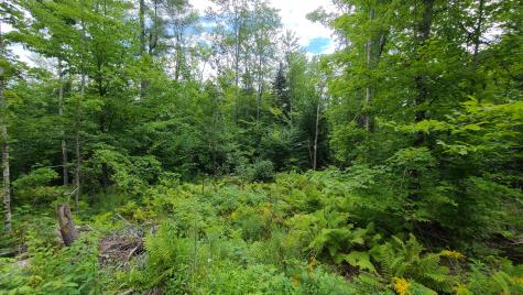 16 Fire Road 10 Saint Albans ME 04971