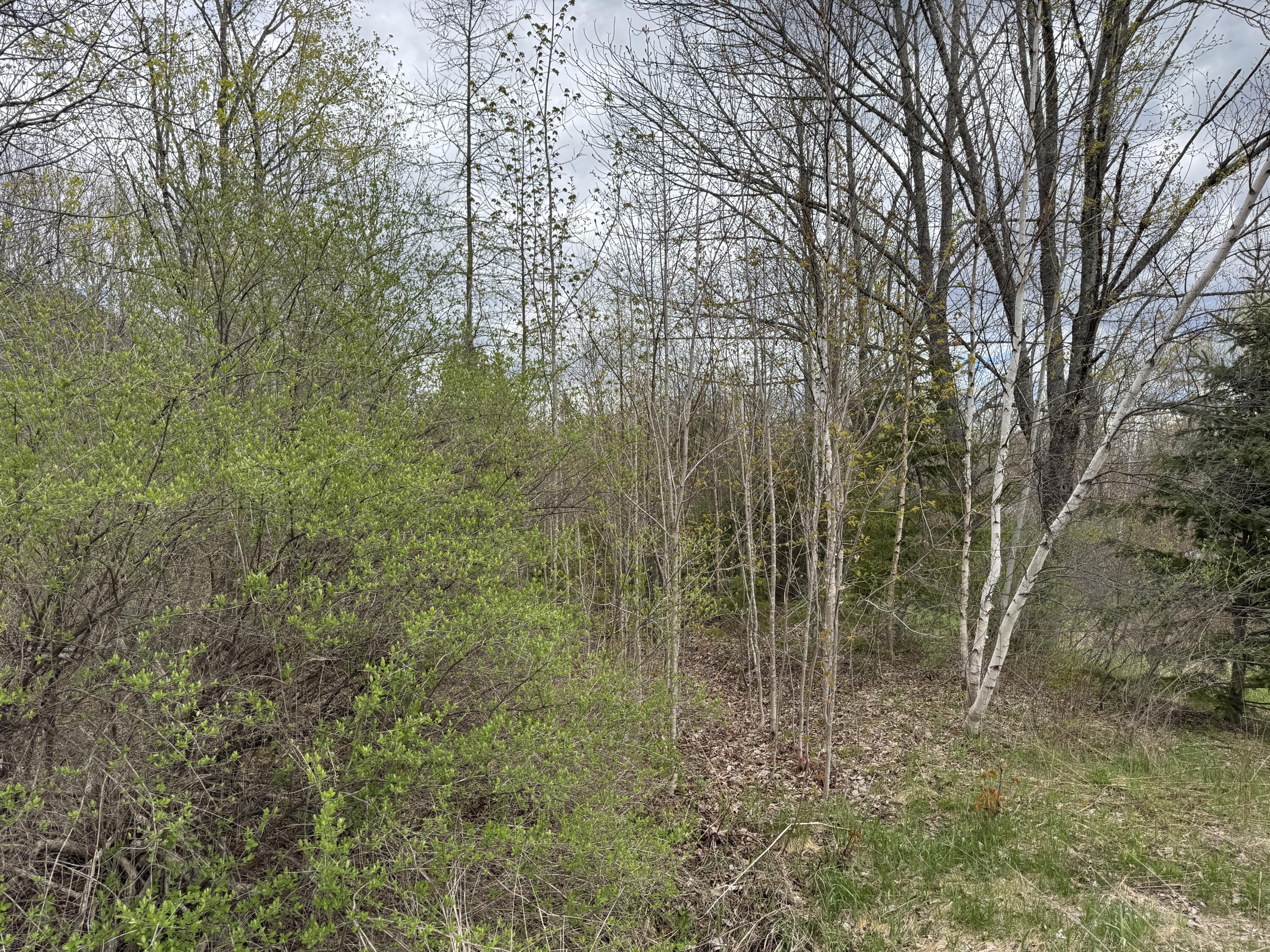00 State Highway 150 Parkman ME 04443