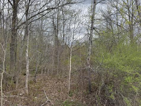 00 State Highway 150 Parkman ME 04443