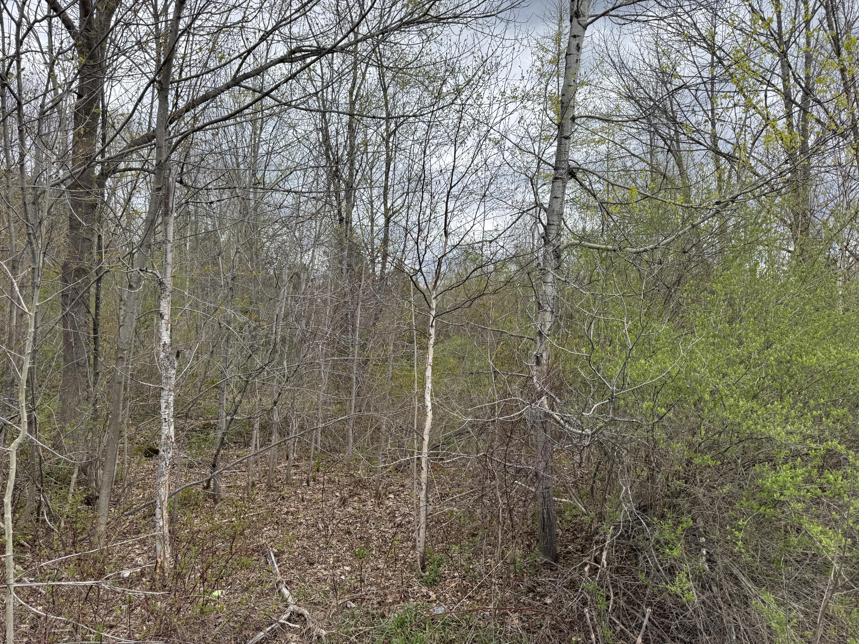 00 State Highway 150 Parkman ME 04443