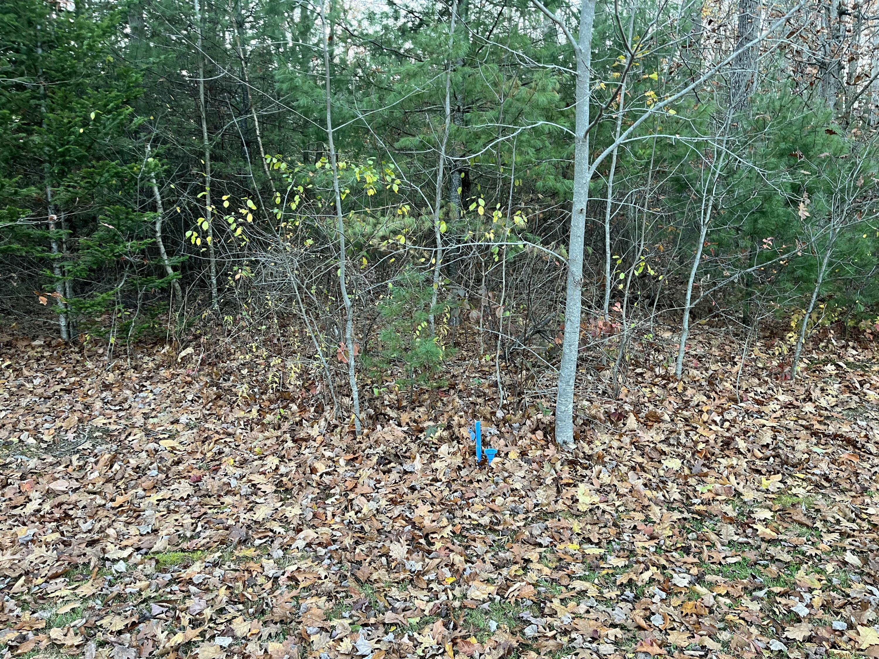 17 Boreal Drive Gorham ME 04038