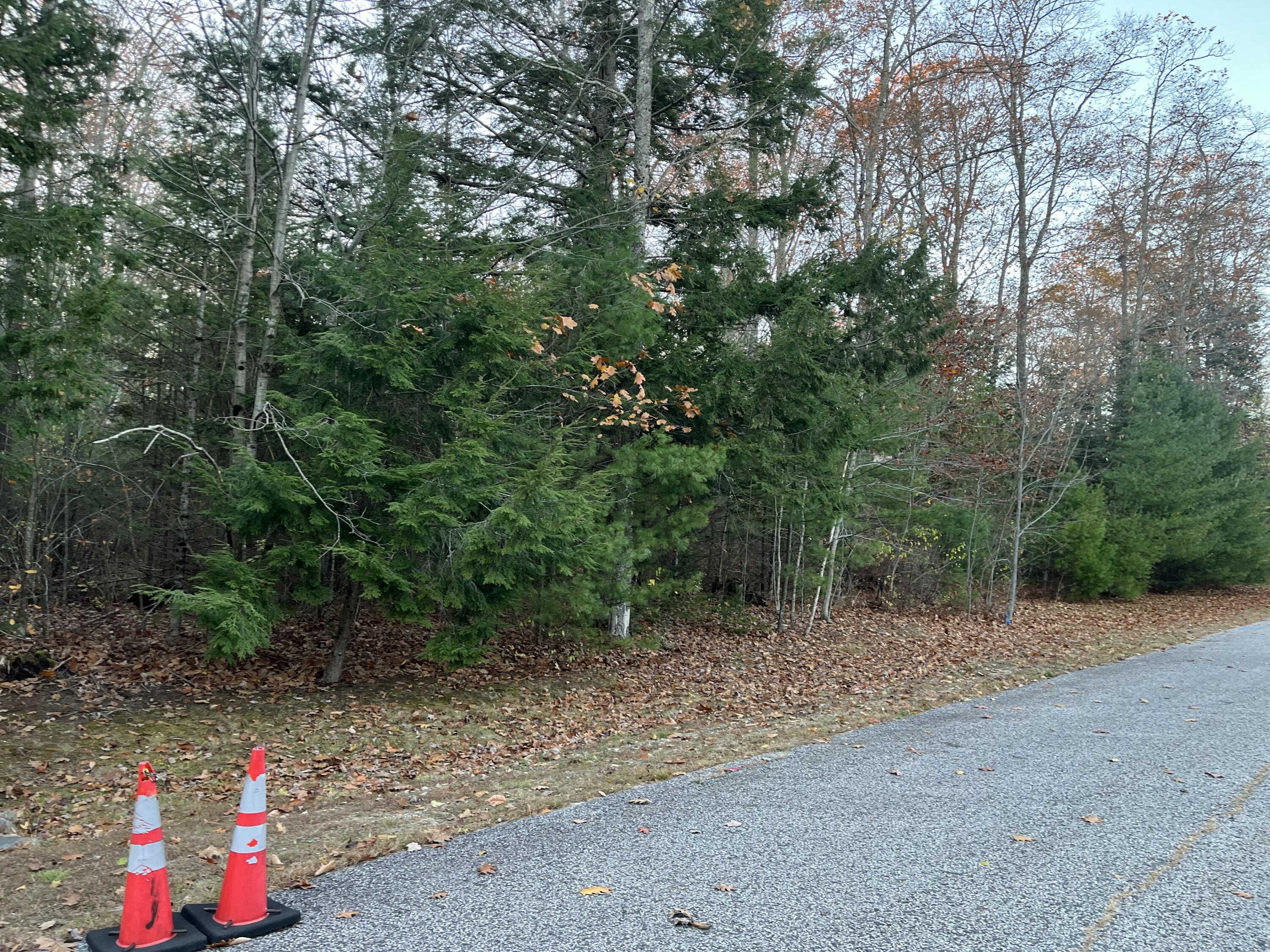 17 Boreal Drive Gorham ME 04038