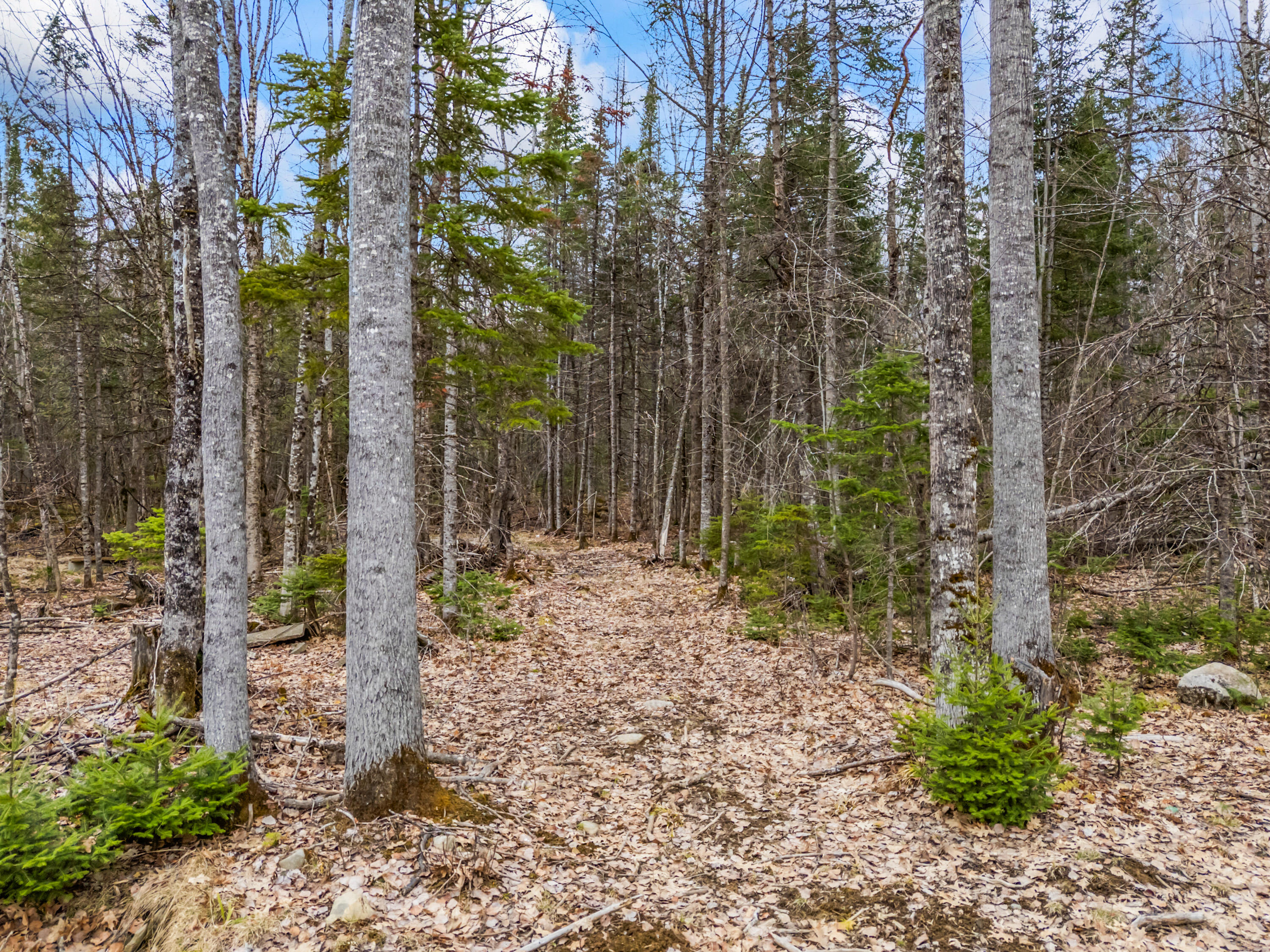 162 Carrabassett Road Anson ME 04958