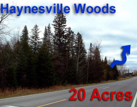 Lot 2-3 Us Rt 2a Road Linneus ME 04730