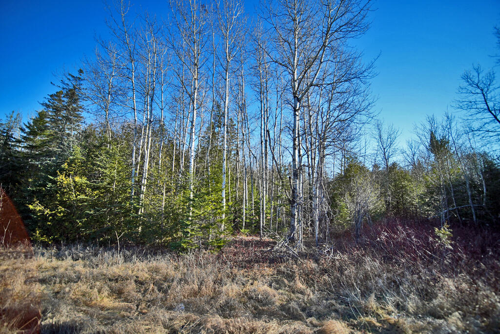 Lot 2-3 Us Rt 2a Road Linneus ME 04730