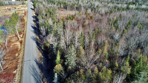 Lot 2-3 Us Rt 2a Road Linneus ME 04730