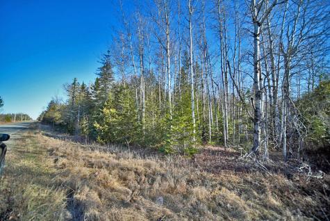 Lot 2-3 Us Rt 2a Road Linneus ME 04730