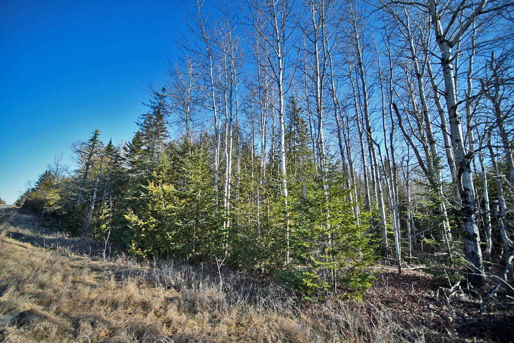 Lot 2-3 Us Rt 2a Road Linneus ME 04730