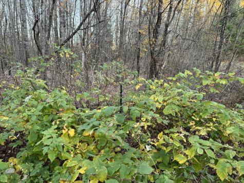 Lot # 90 Wing Road Dexter ME 04930