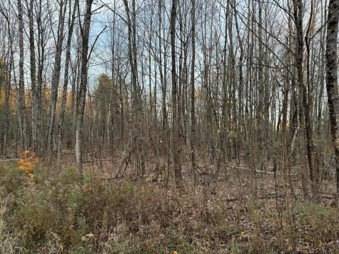 Lot # 90 Wing Road Dexter ME 04930