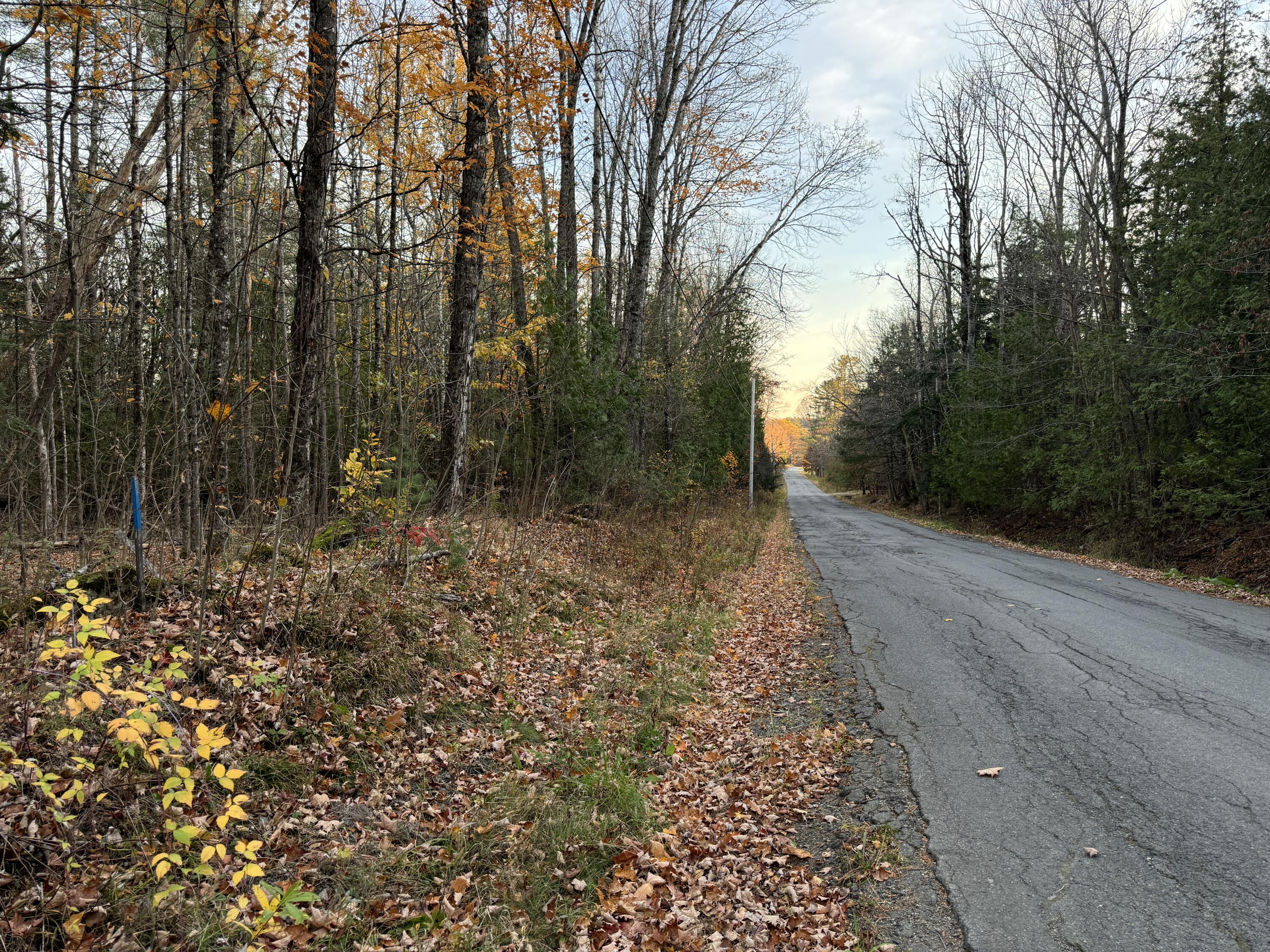 Lot # 90 Wing Road Dexter ME 04930